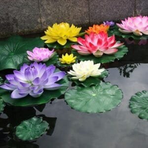 Artificial Water Lily