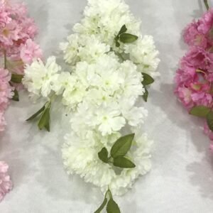 Double-flowered-Cherry-Blossom